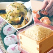 Gạo Nhật Bản: Trung tâm của ẩm thực truyền thống Washoku